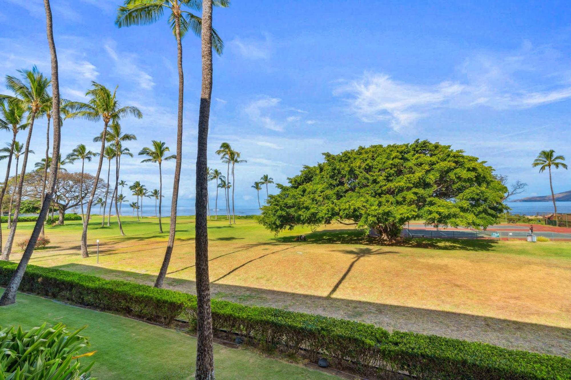 Maui Schooner Resort Kihei Extérieur photo